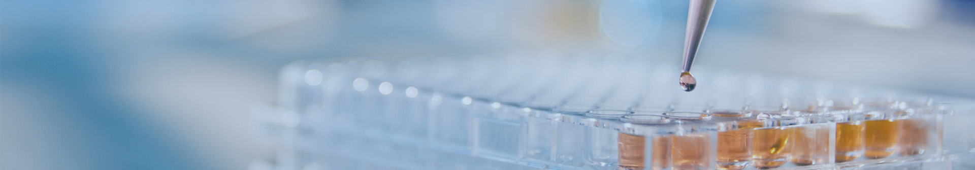 page_banner